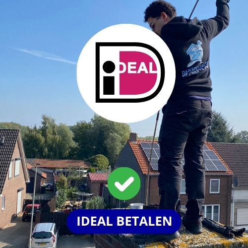 ideal betalen zwarte duif schoorsteenveger
